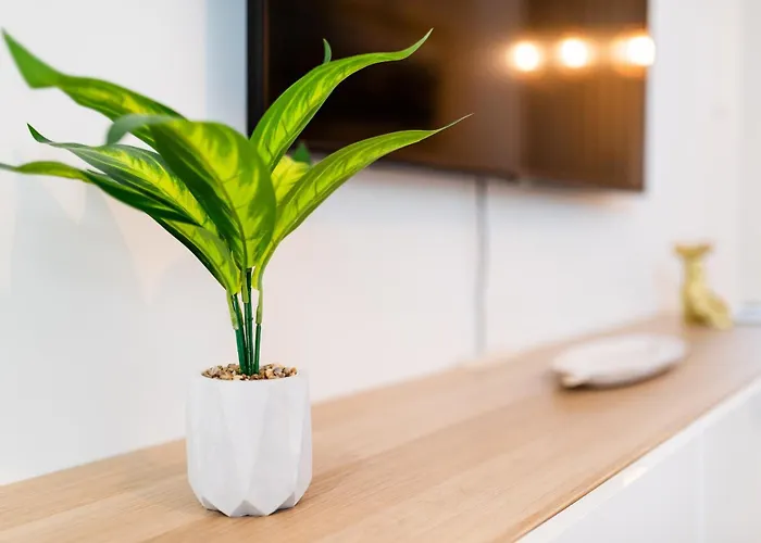 En Sueno Γρανάδα